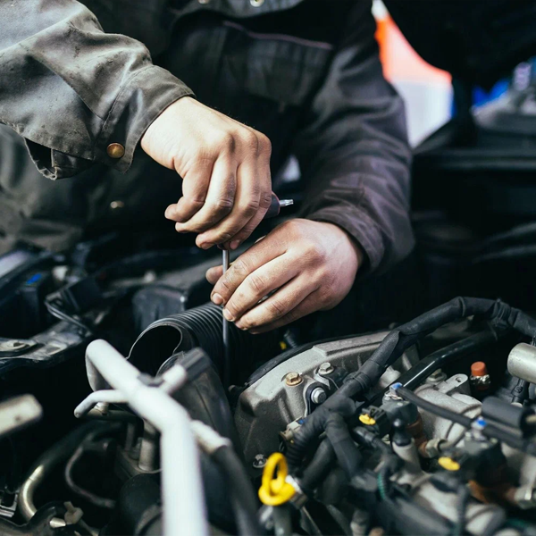 Die Wartung Ihres Fahrzeugs verstehen